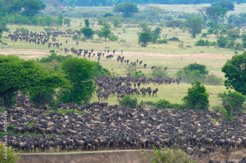 The Great Migration