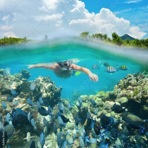 Fototapeta Naklejka Na Ścianę i Meble -  Snorkeler diving along the beatiful coral reef