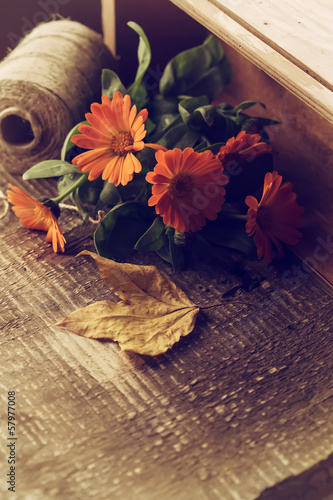 Autumnal flowers in box on wooden table. Postcard.