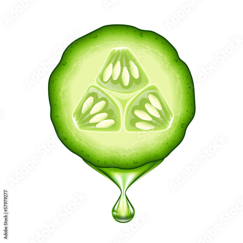 Fresh cucumber slice isolated on white background