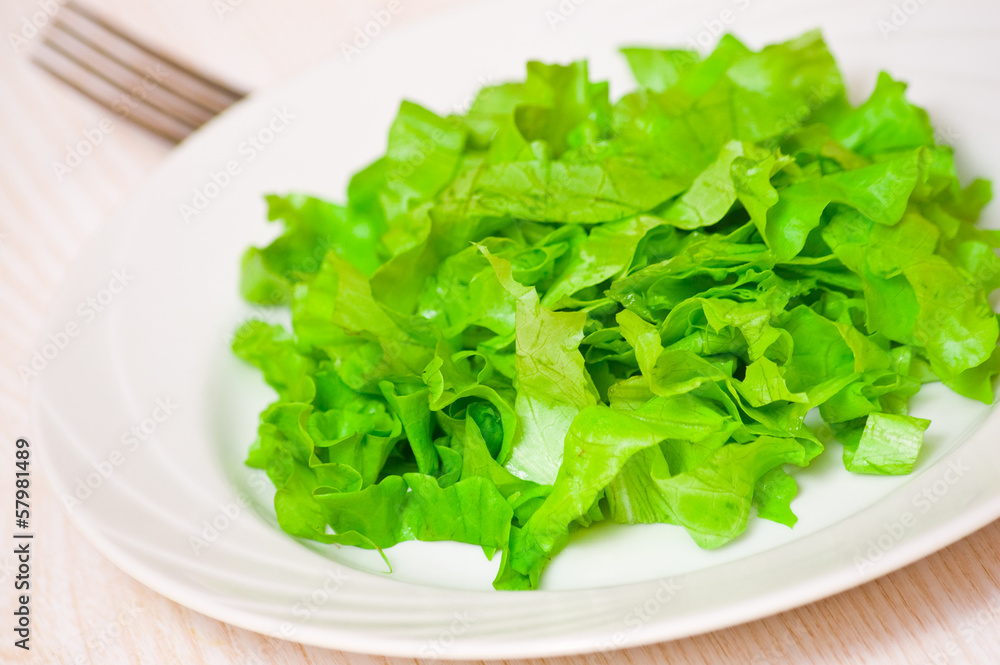 fresh green lettuce leaves on white dish fresh green lettuce leaves on white dish