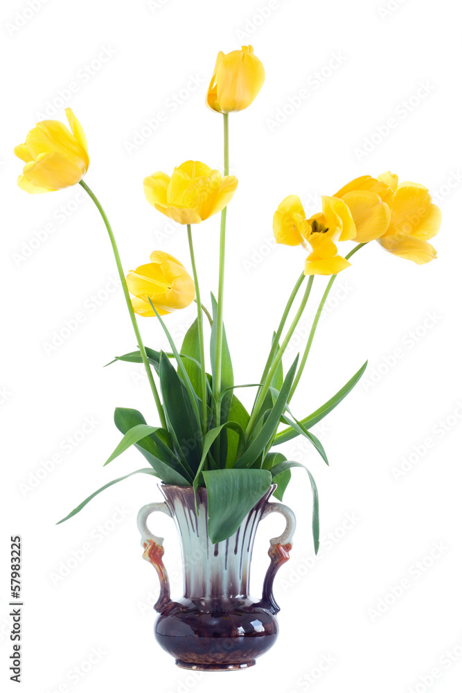 Yellow tulips in vase.