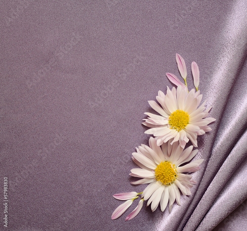 Silk fabric with daisies
