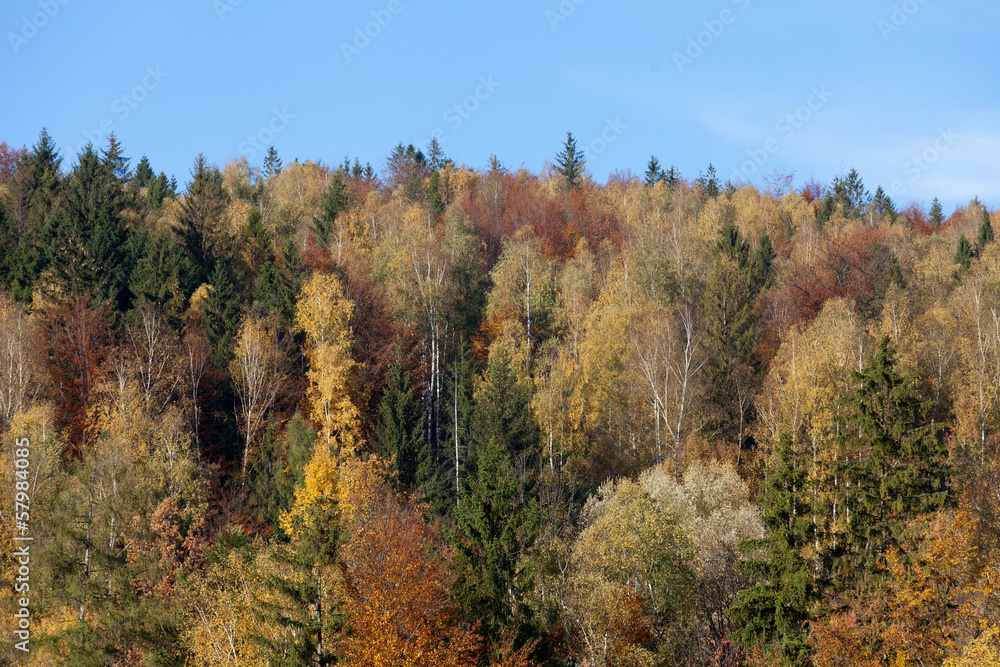 impression of leaves and autumn colors