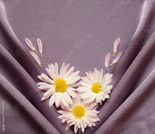 Satin fabric with daisies