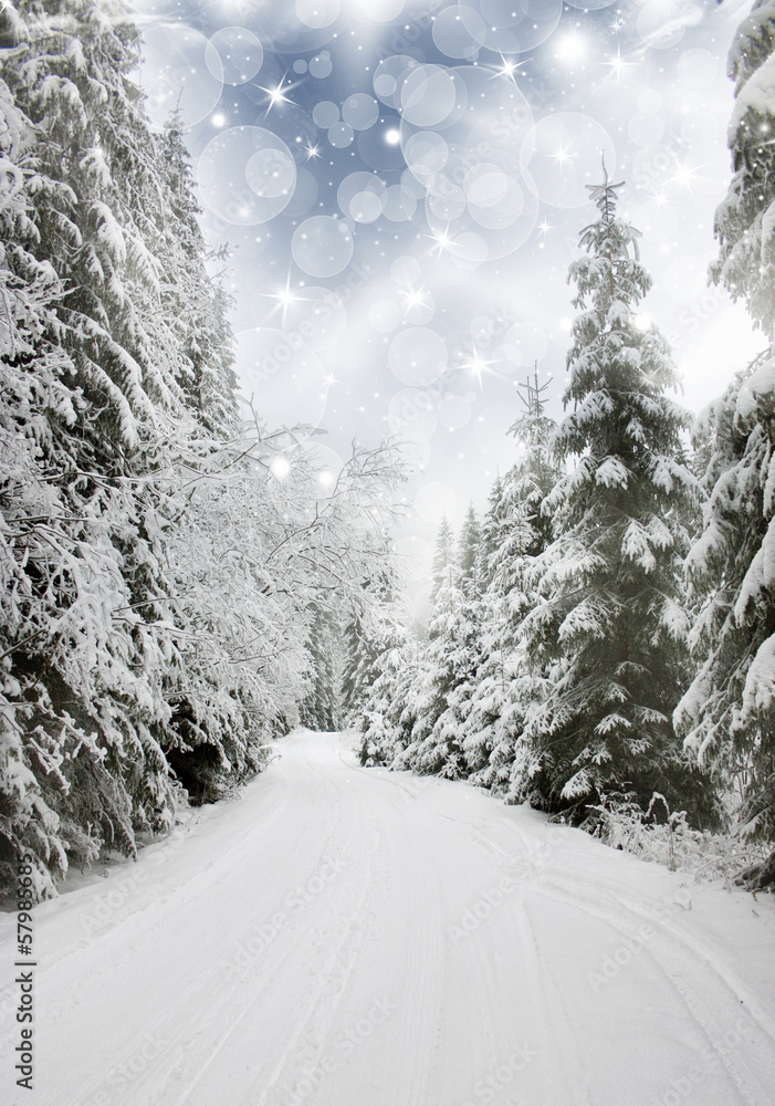 Fototapeta premium Beautiful winter landscape with snow covered trees