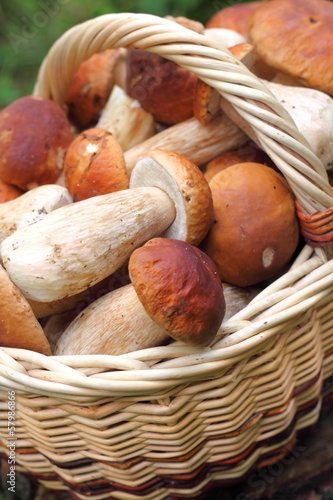 Basket with ceps