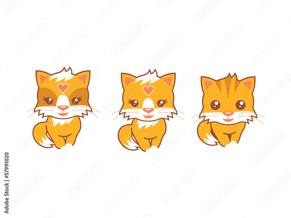 Three Cats Three Cats