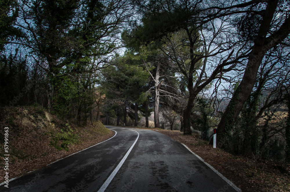 Fototapeta premium curva strada