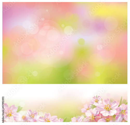 Vector of spring backgrounds for design.