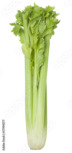 fresh celery