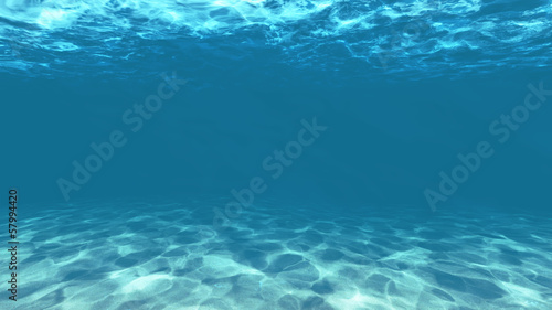 Obraz na plátně under water
