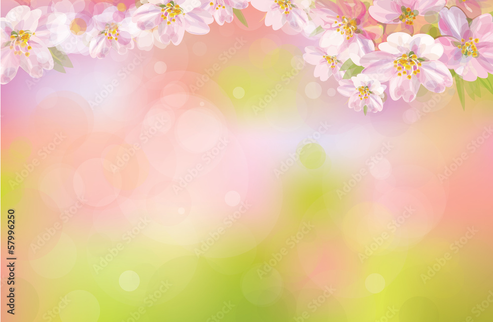 Vector of spring background.