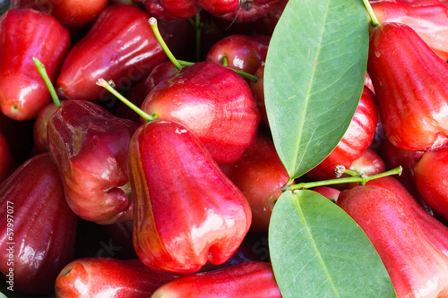 Red rose apple photo