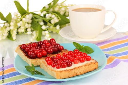 Delicious toast with cranberries on plate close-up