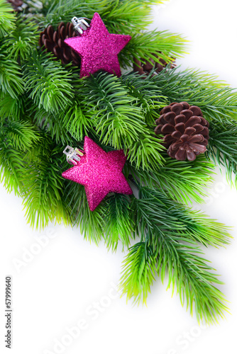 Christmas decorative stars on fir tree  isolated on white