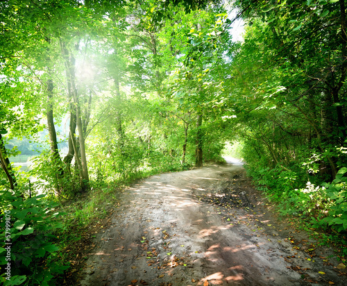 Dawn on the road in the forest