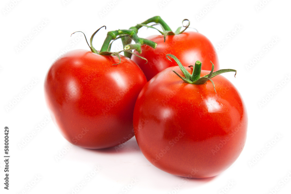 Closeup of tomatoes on the vine isolated on white. Tomato branch Closeup of tomatoes on the vine isolated on white. Tomato branch