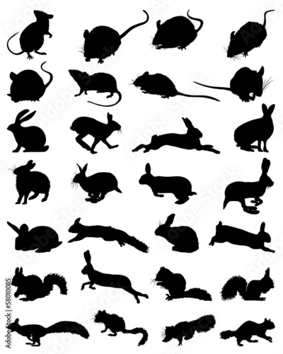 Black silhouettes of rodents, vector illustration