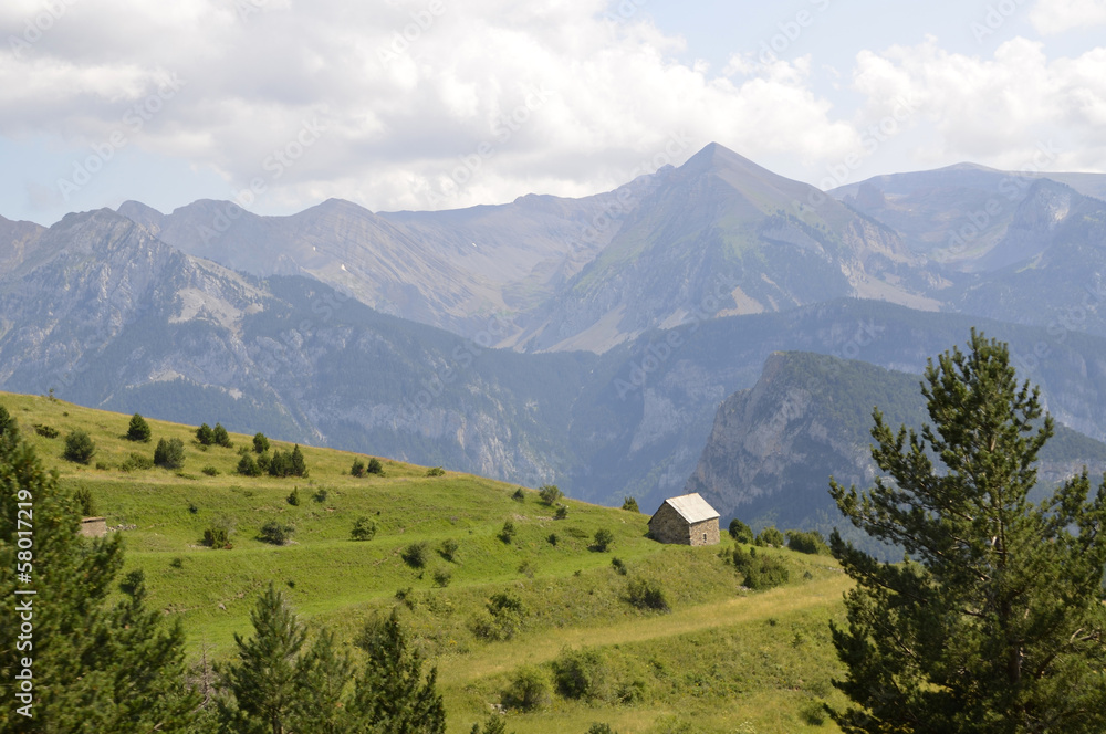 Pradera verde en los Pirineos
