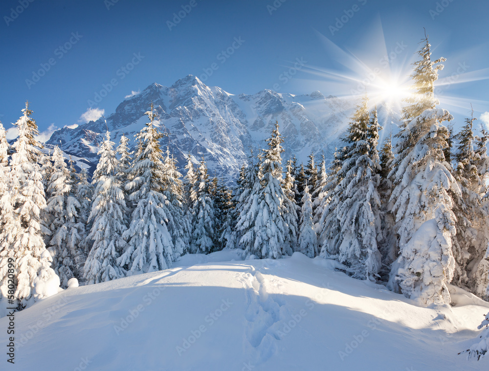 Beautiful winter landscape in the huge mountains