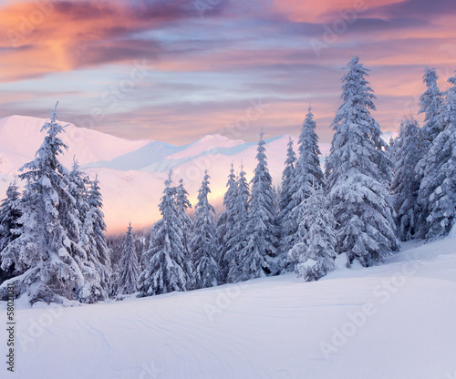 Beautiful winter landscape in the mountains. Sunrise © Andrew Mayovskyy