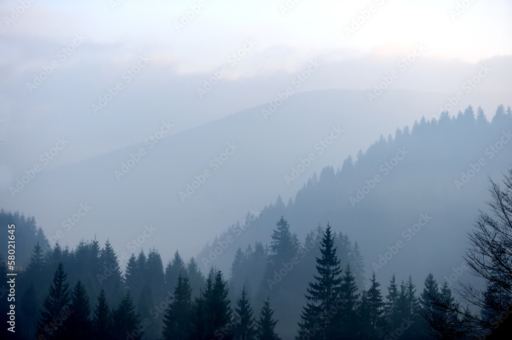 Mountains with trees and fog