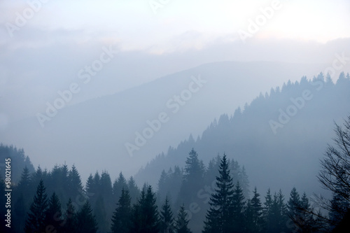 Mountains with trees and fog