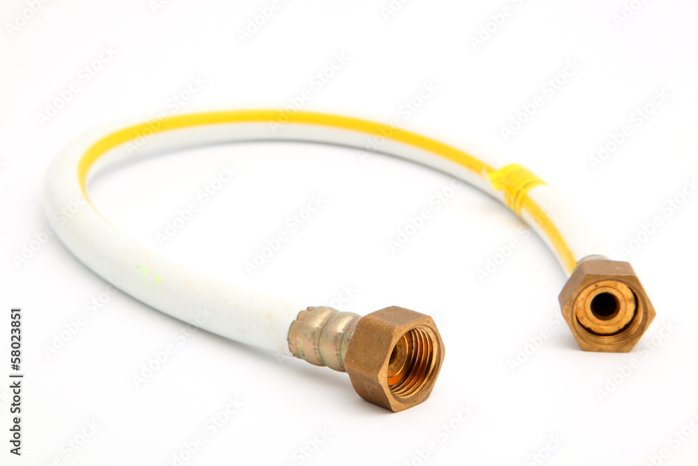 white hose white hose