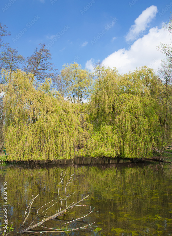 Fototapeta premium an der Nette im Naturpark Schwalm-Nette bei Nettetal