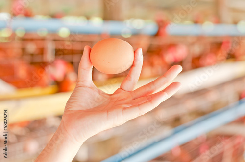 egg on hand