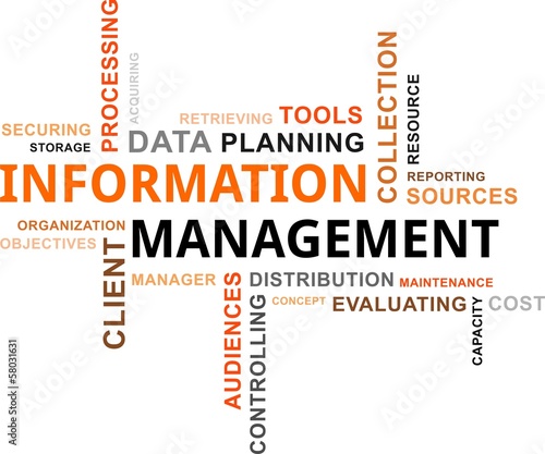 word cloud - information management