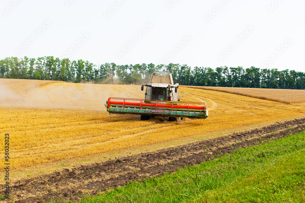 Fototapeta premium Combine