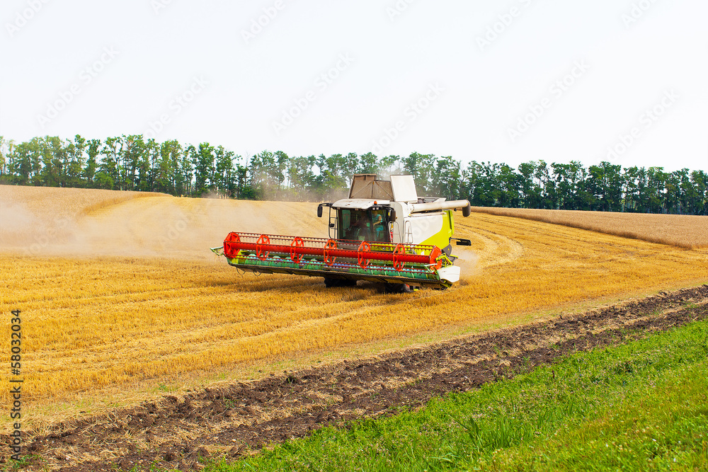 Fototapeta premium Combine