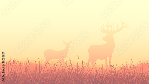 Horizontal illustration of deers in morning field.