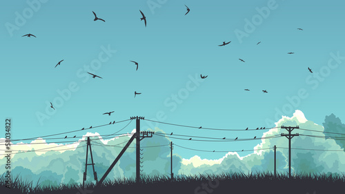 Horizontal illustration of birds in sky and on power line.