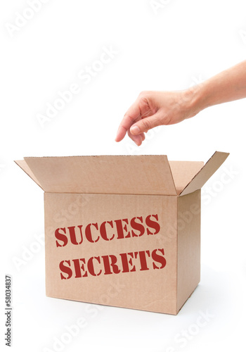 Success secrets