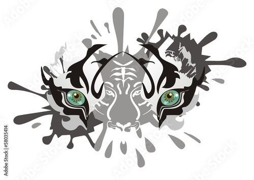White tiger eyes splashes