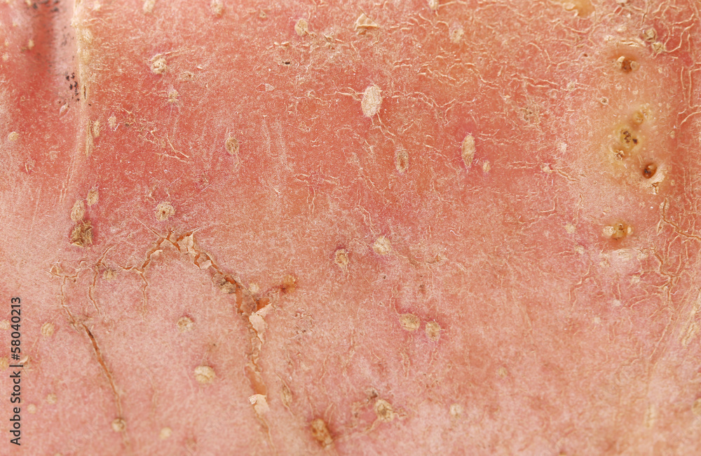 Fototapeta premium Fresh red potato. Close up