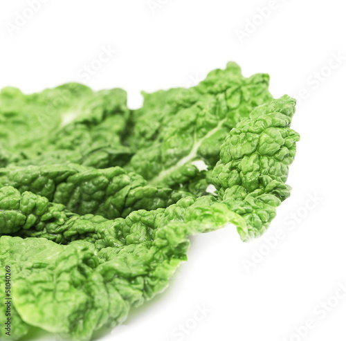 Leaf of chinese cabbage close up