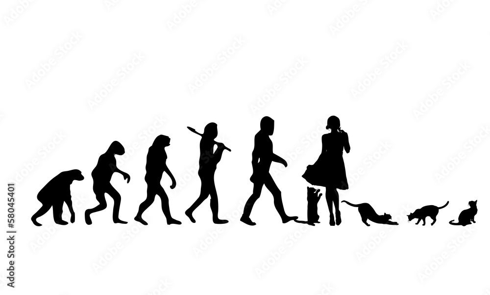 Evolution Cat 3 Evolution Cat 3