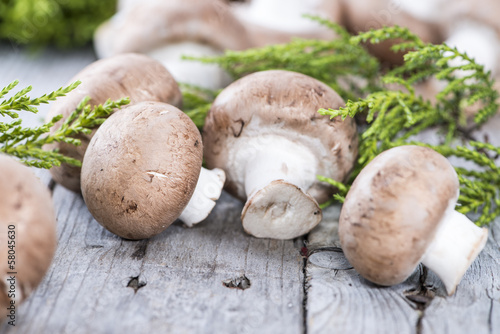 Portion of fresh Mushrooms