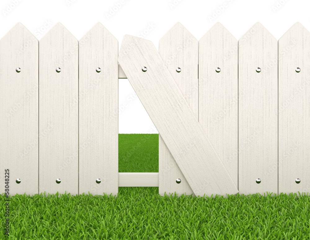 Fototapeta premium fence on lawn