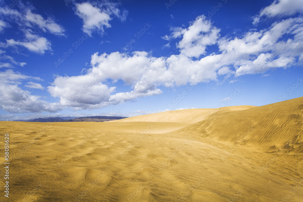 sand dunes sand dunes