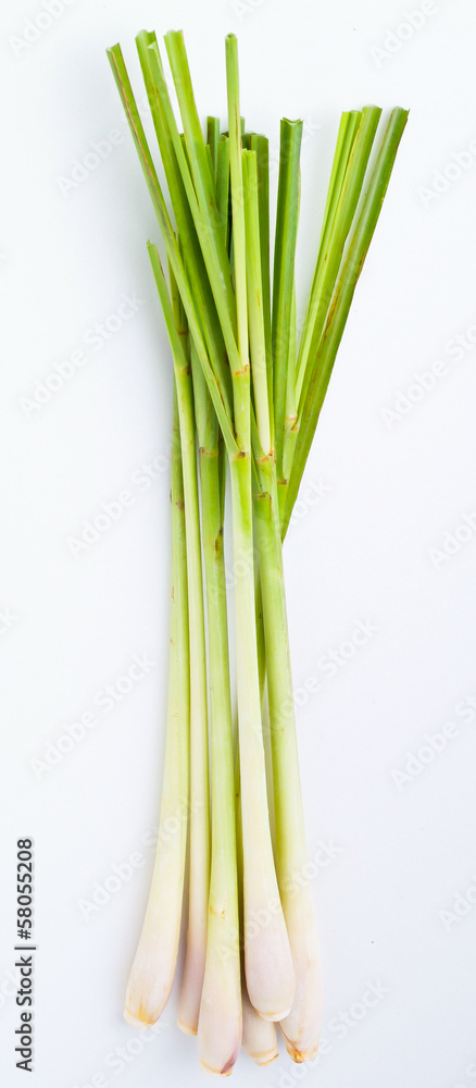Fototapeta premium Lemon Grass on white background