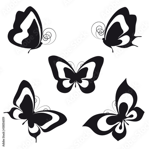 butterflies design