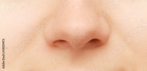 human nose