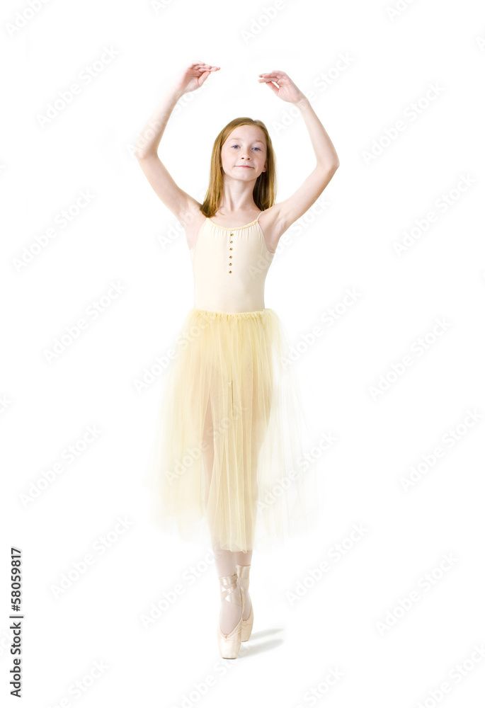 Studio portrait of an attractive young ballerina Studio portrait of an attractive young ballerina