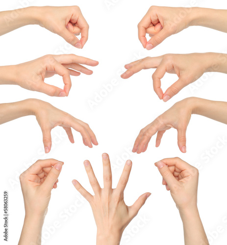 Collage of woman hands on white background.