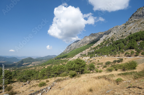 Grazalema Natural Park, Cadiz, Andalusia, Spain